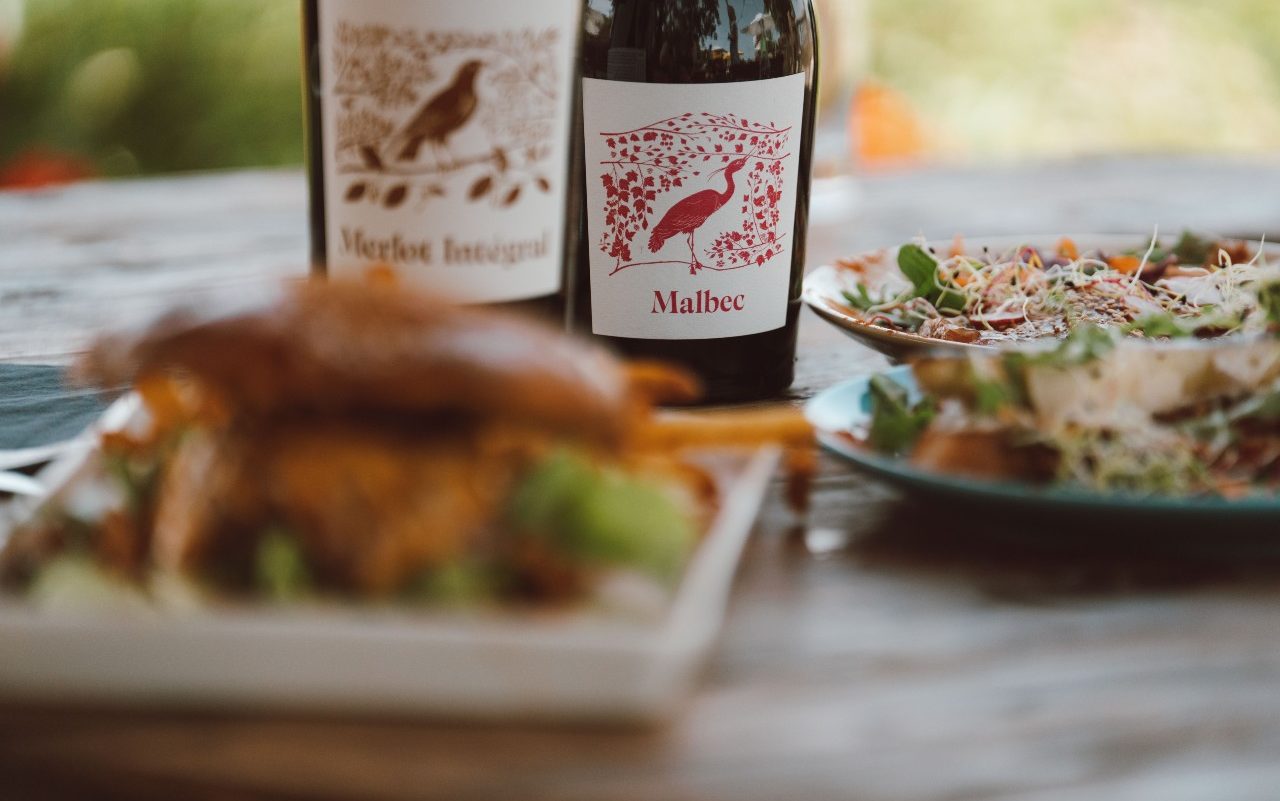 Vins Merlot Intégral et Malbec Château Morillon